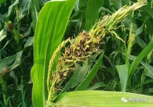 山西保水开采技术：守护矿区水资源的智慧解决方案，让采矿更可持续更安心