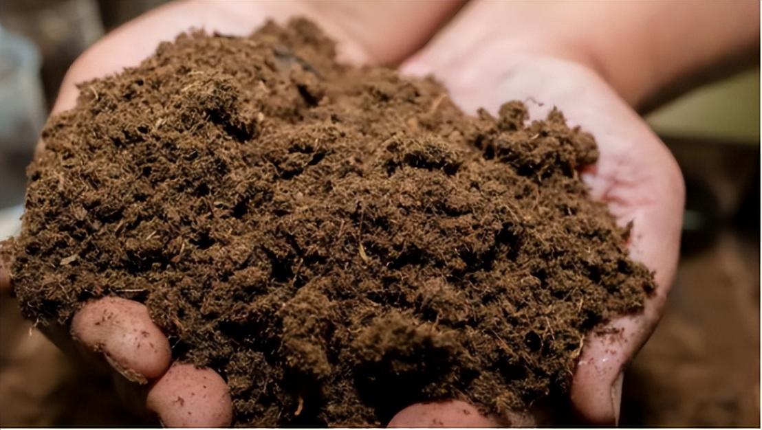 地质数字技术：山西地下水监测如何让看不见的水脉变得透明，解决水资源管理难题