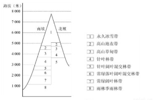 地质数字技术：煤层模拟如何让地下煤层结构触手可及，提升勘探效率与安全性