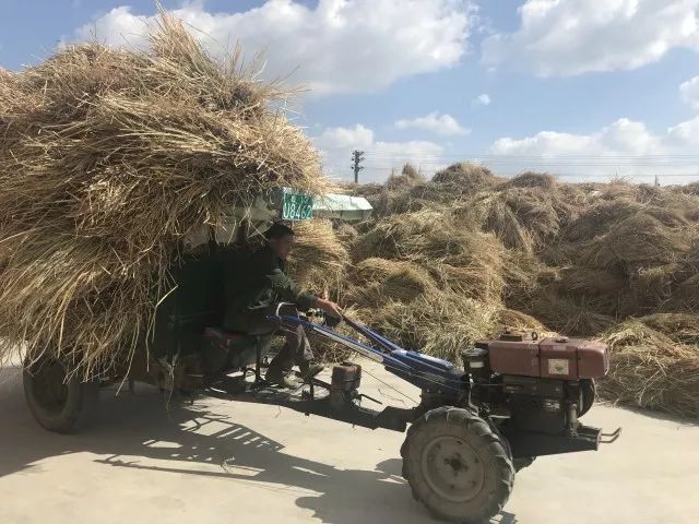 低碳技术：矸石路基材料如何变废为宝，轻松打造坚固环保道路