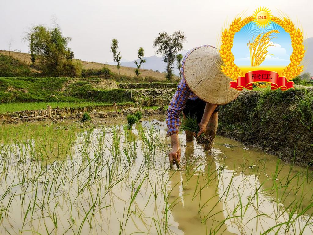 地质数字技术：透气性分析如何精准预测地下气体流动，提升能源开采效率与工程安全