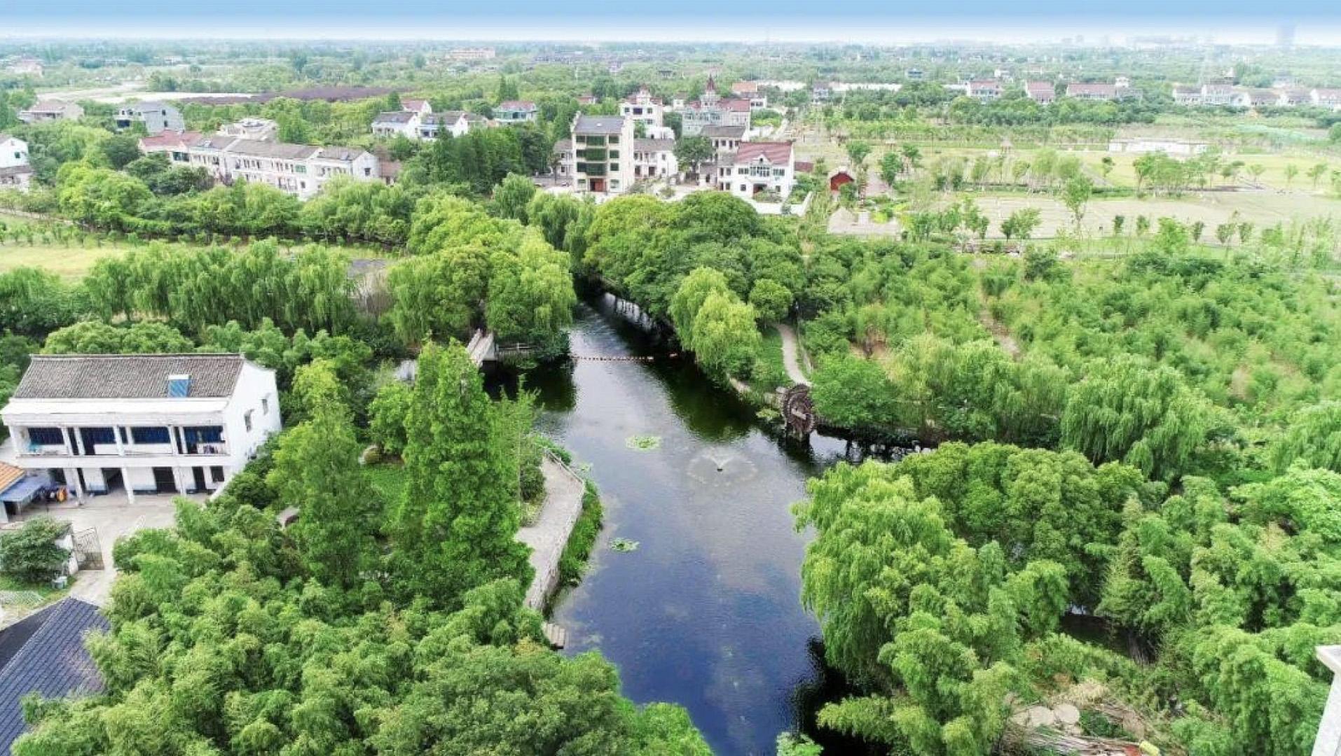 数字化技术：加药参数优化如何让水处理更精准高效，节省成本又省心