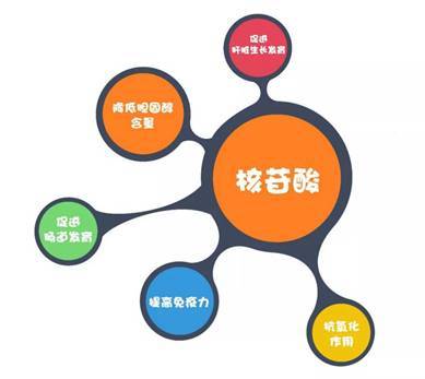 晋矿智造研：供电负荷调节技术如何帮助煤矿企业节能降耗与提升安全