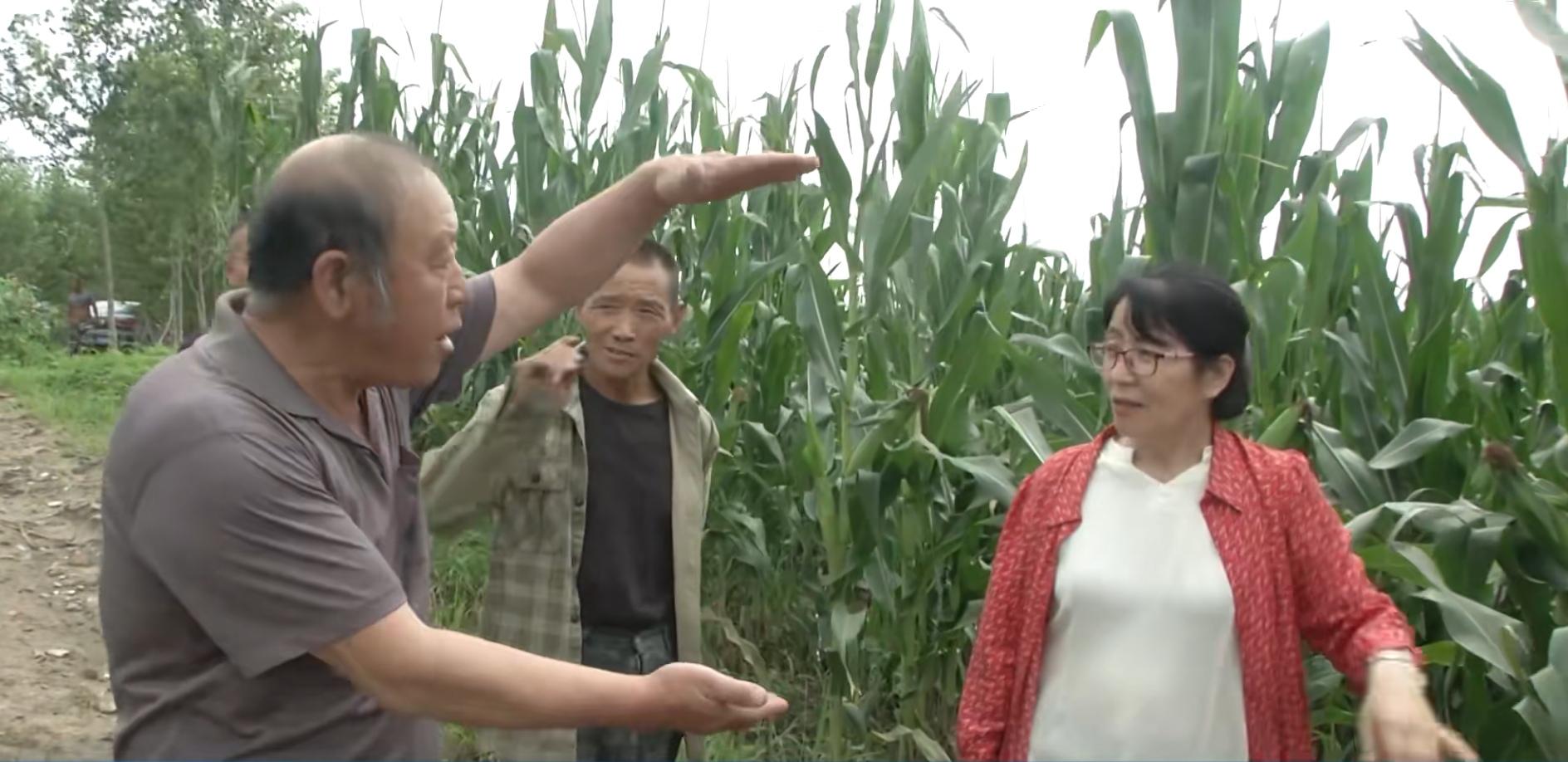 矿山知识库：水泵故障排查全攻略，快速解决水泵问题保障矿山安全