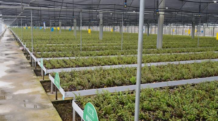 数字化技术如何优化抽检数据管理：提升效率与准确性，告别繁琐流程