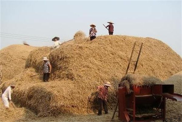低碳技术：生物质转化优化，高效利用农业废弃物变废为宝